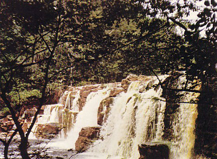  Bad Woman Falls